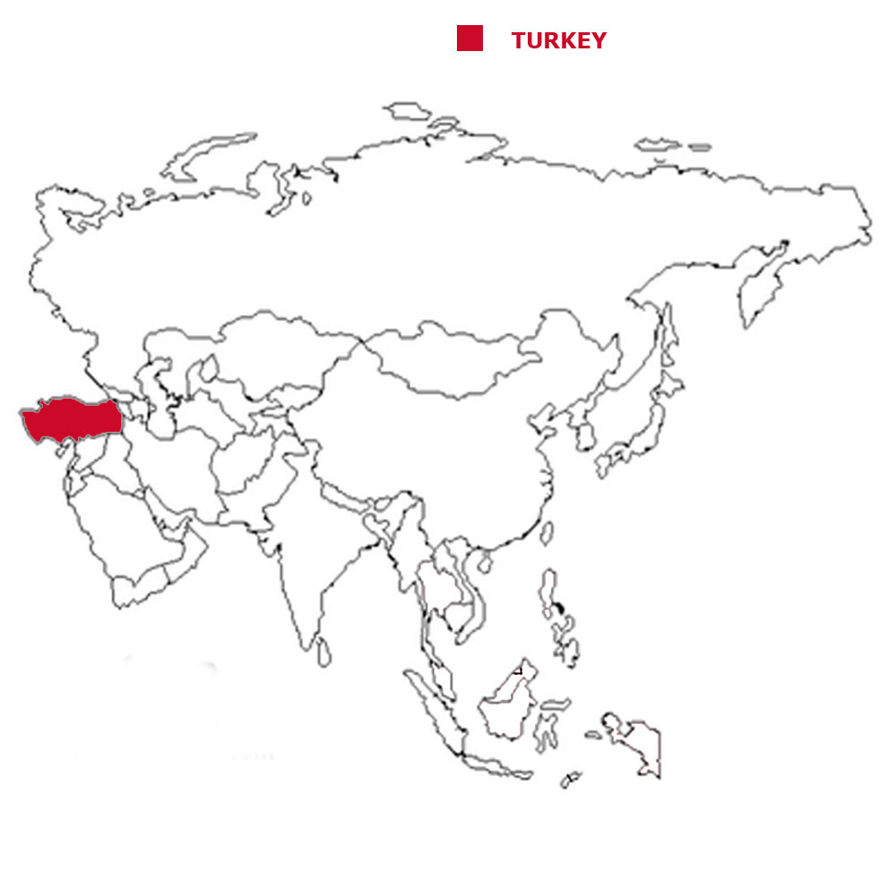 turkey